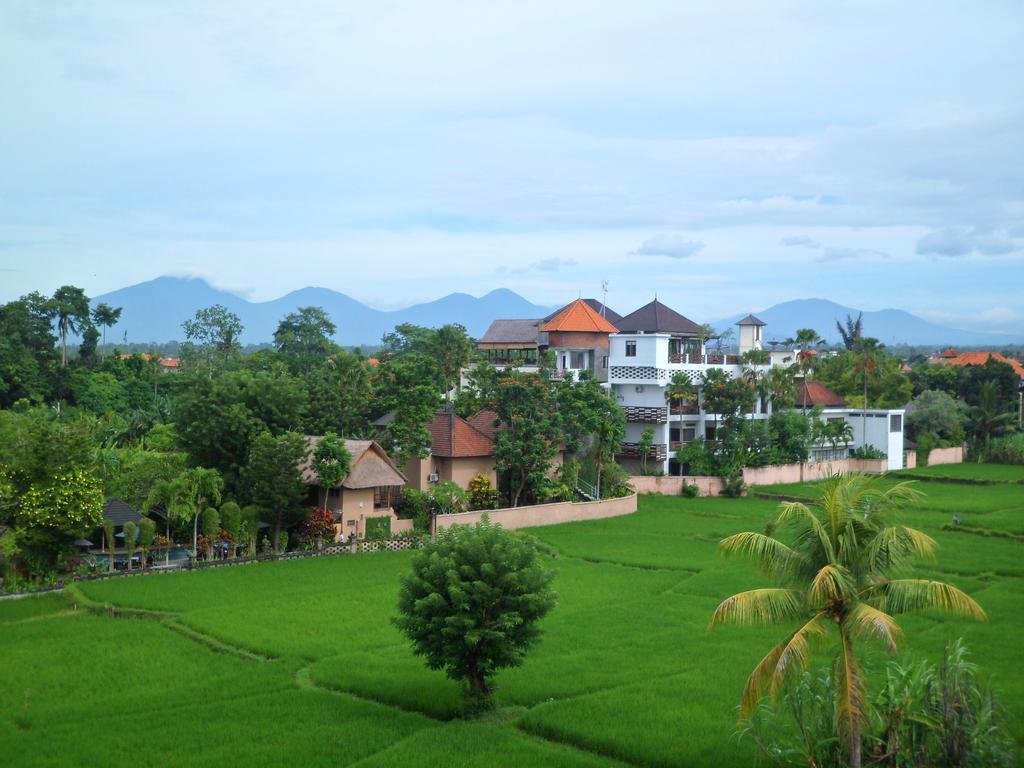 Nuriani Rooms Ubud Kültér fotó