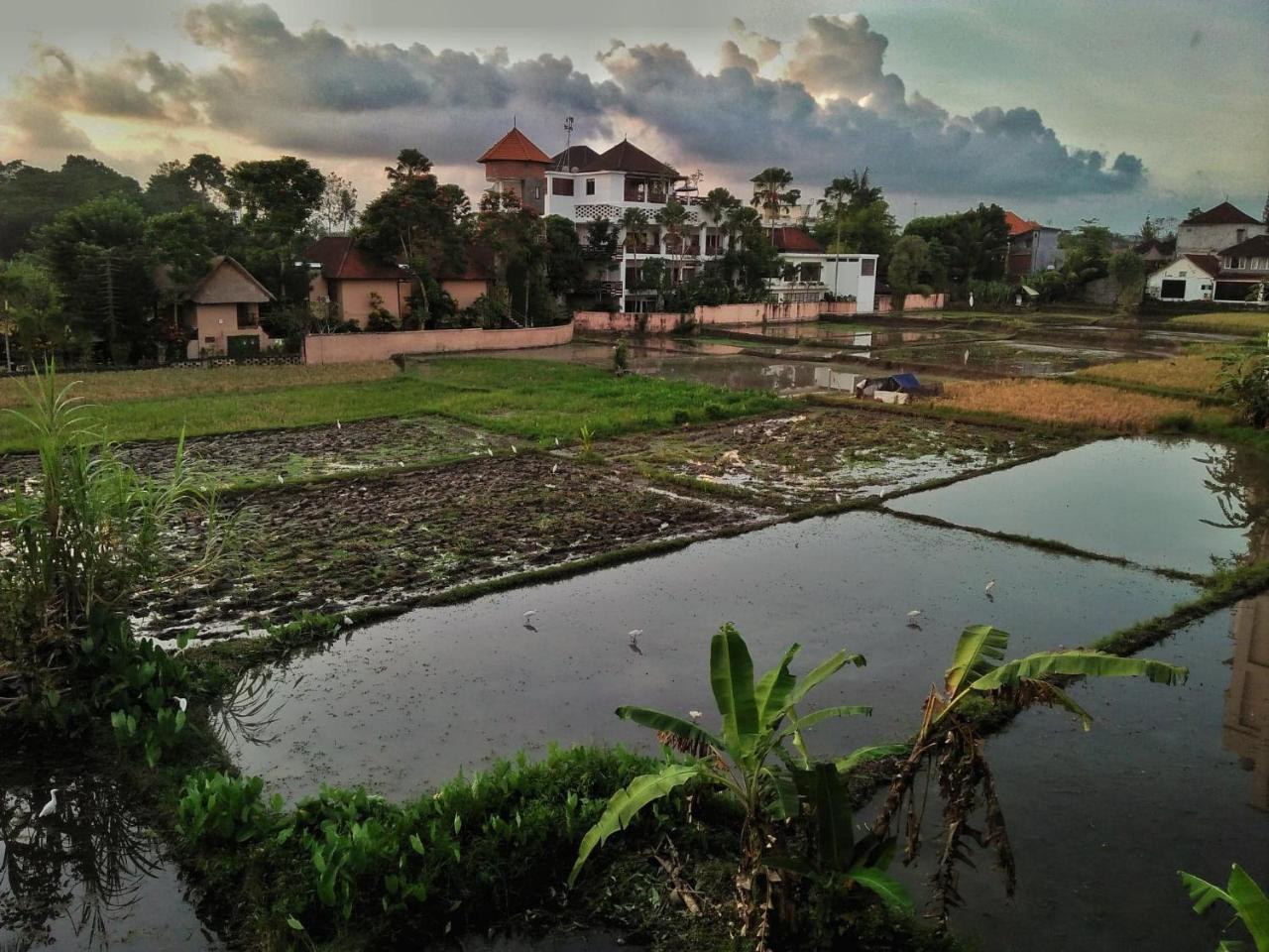 Nuriani Rooms Ubud Kültér fotó